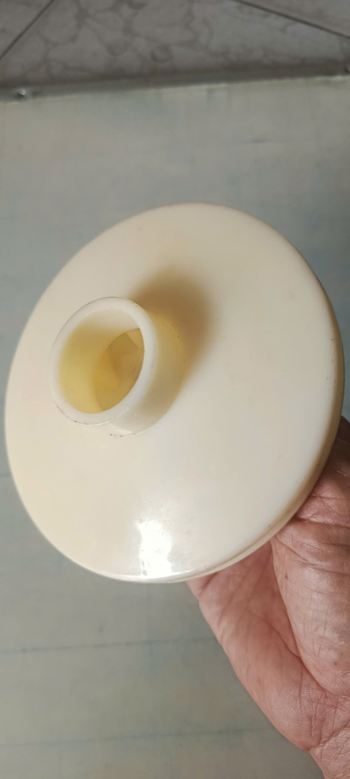 Cánh bơm nước Nhật